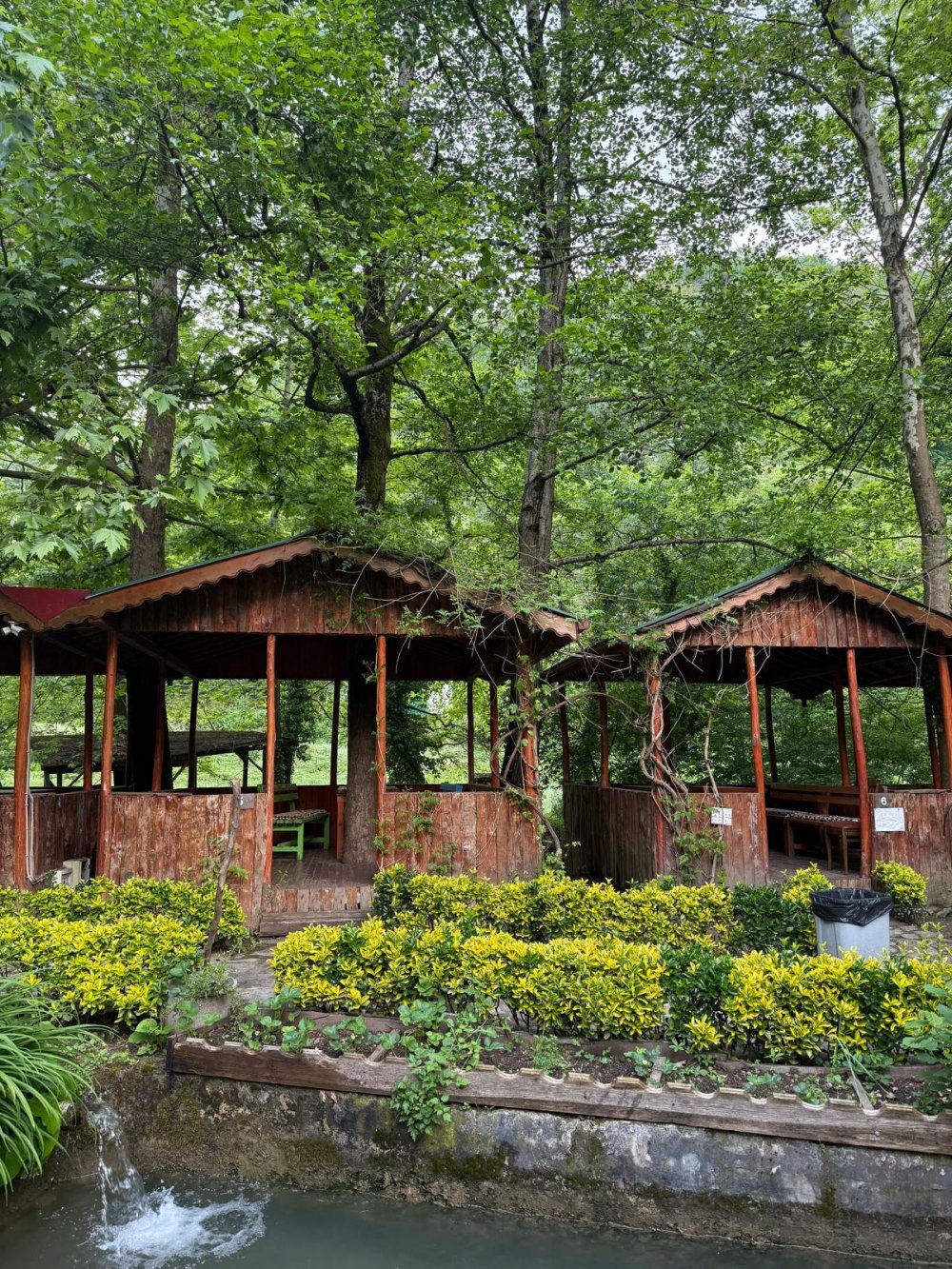 Streamside Picnic area