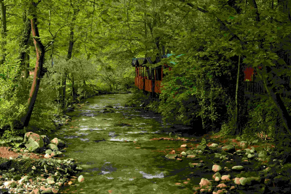  Karadeniz Ruhunu Yuvacık’ta Yaşamak